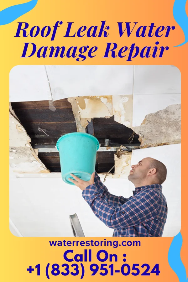 Roof Leak Water Damage Repair in East Shore, CA
